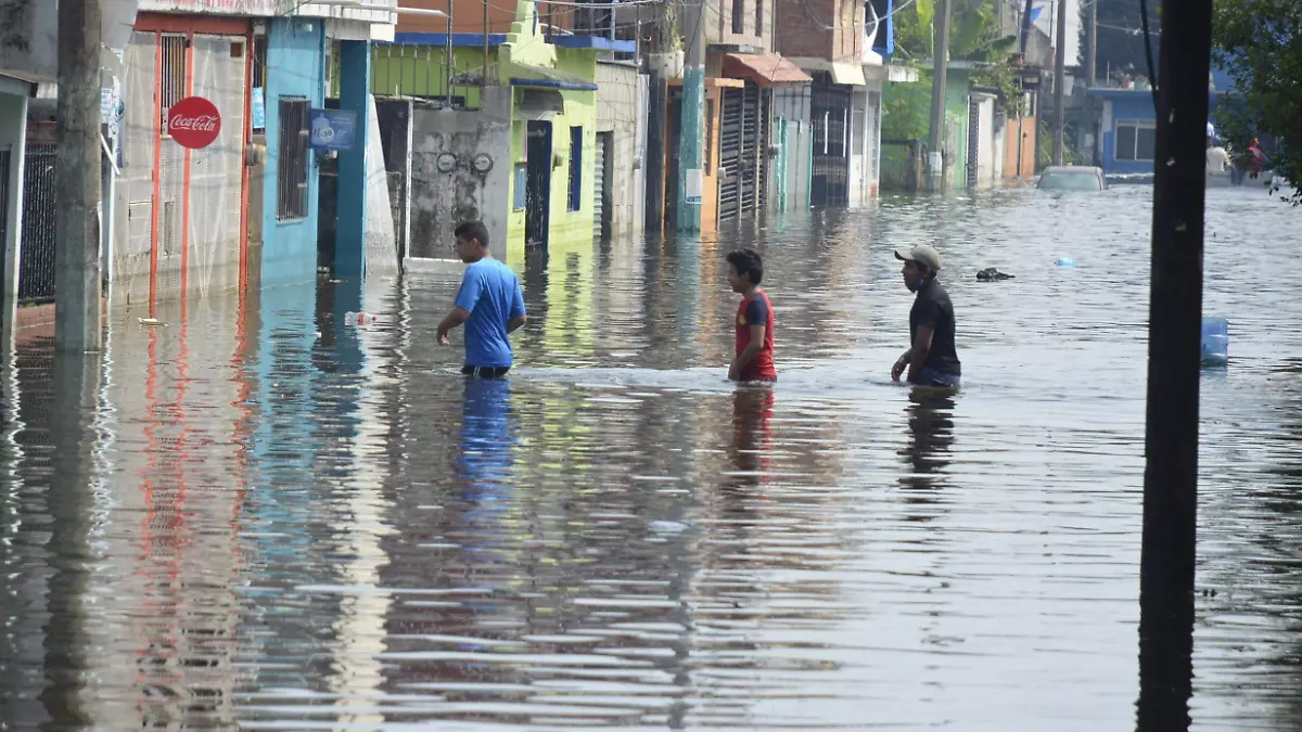 SECTOR GAVIOTAS SUR SIGUEN SUFRIENDO-JCH51